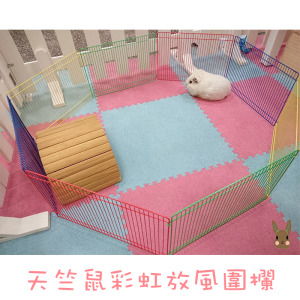 天竺鼠彩虹寵物放風圍欄/圍片