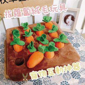 拔蘿蔔絨毛玩具