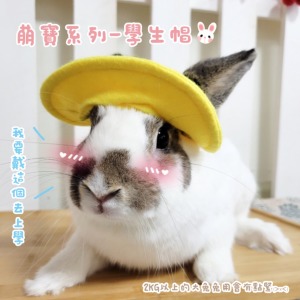 萌寶系列-寵物造型頭飾(多款)