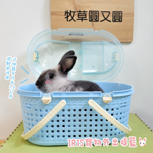 日本IRIS OHYAMA -寵物外出提籃 (2色)