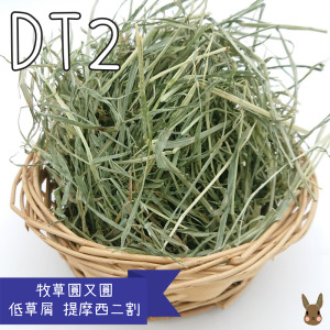【現貨】牧草圓又圓 | 低草屑DT2優質賽馬級提摩西二割(500g)