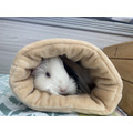 剛剛好天竺鼠方型睡窩_4
