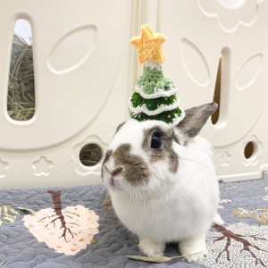 聖誕樹編織帽頭飾