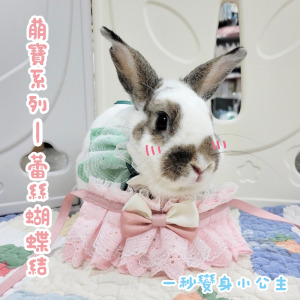 萌寶系列-蕾絲蝴蝶結