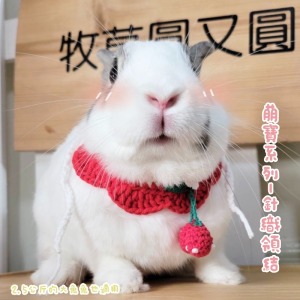 萌寶系列-針織領結