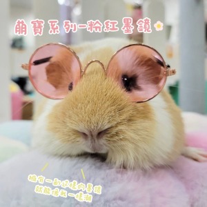 寵物造型墨鏡 (隨機)