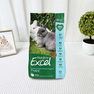 英國伯爵Burgess | 幼兔侏儒兔 1.5KG