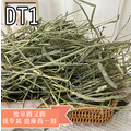 【現貨】牧草圓又圓 | 低草屑DT1優質賽馬級提摩西一割(500g)