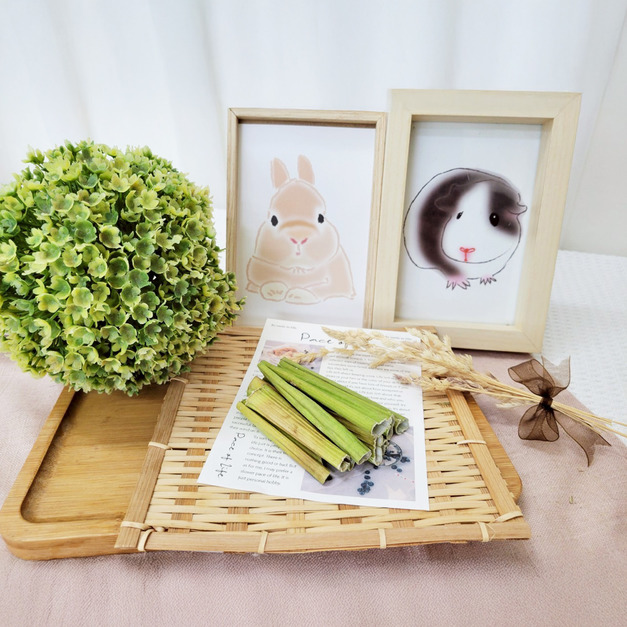 牧草圓又圓 | 保健草系列─木瓜莖