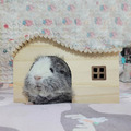 天竺鼠鄉村小屋_5