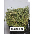 【現貨】牧草圓又圓 | 低草屑美國苜蓿草(500g)_2
