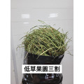 【現貨】牧草圓又圓 | 低草屑優質賽馬級果園草(500g)_1