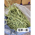 【現貨】牧草圓又圓 | 低草屑DT1優質賽馬級提摩西一割(500g)_1