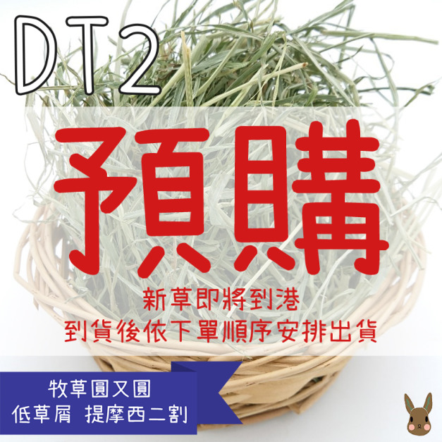 【新草預計10月底到港！】牧草圓又圓 | 低草屑DT2優質賽馬級提摩西二割(500g)