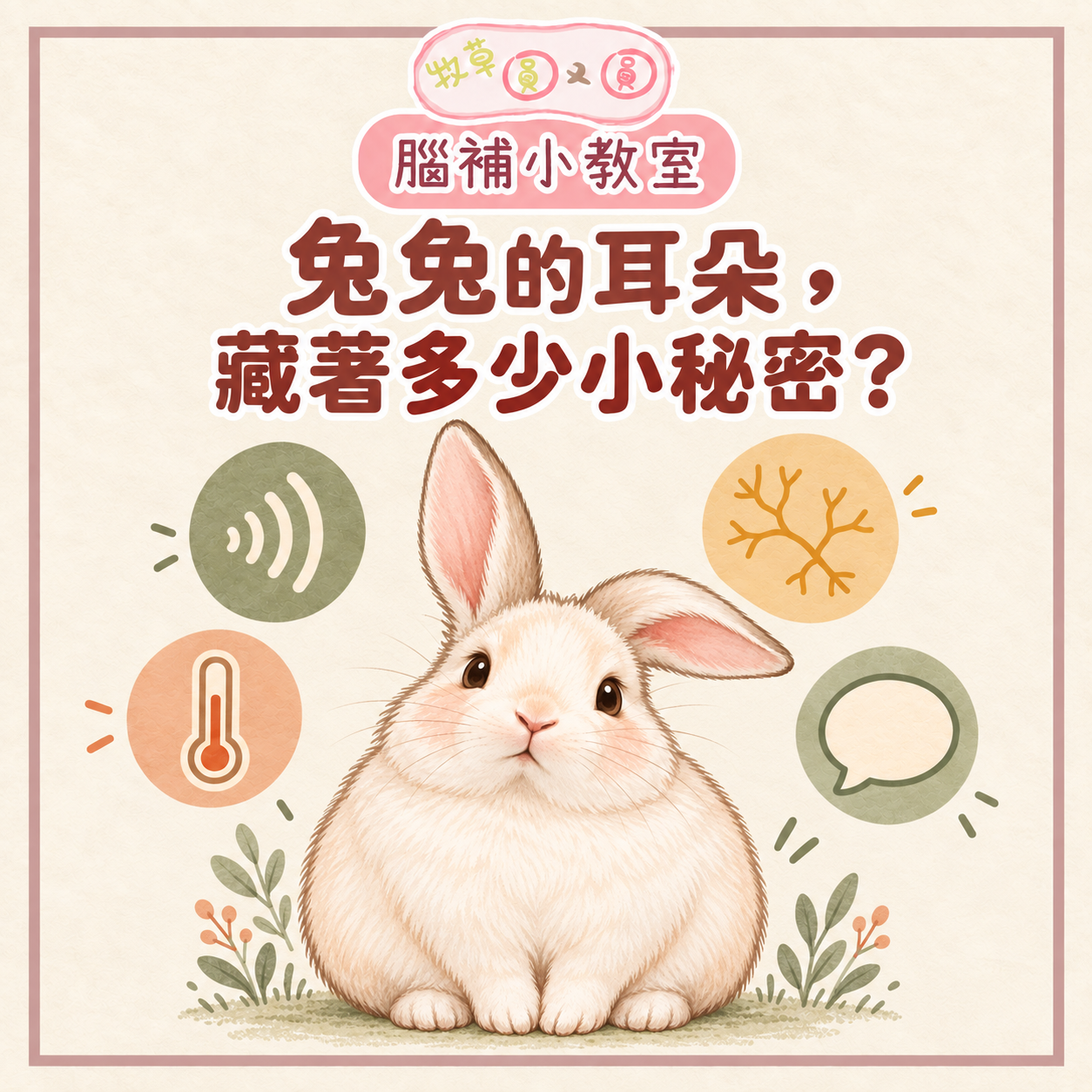 兔兔的耳朵，藏著多少小秘密？