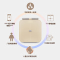 【THOMSON】WiFi 藍牙ITO 八點傳感體脂計 TM-SASC01W_1