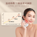 【THOMSON】溫感金絲玉臉部按摩器 TM-BC07DS_5