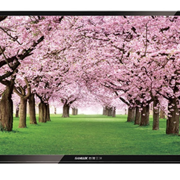【SANLUX 台灣三洋】24吋 LED背光 液晶顯示器 液晶電視 SMT-24MA3
