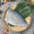 【免運優惠組】金目鱸魚排/鱸魚片 (大) ～6入組～享免運!