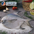 野生白鯧_1