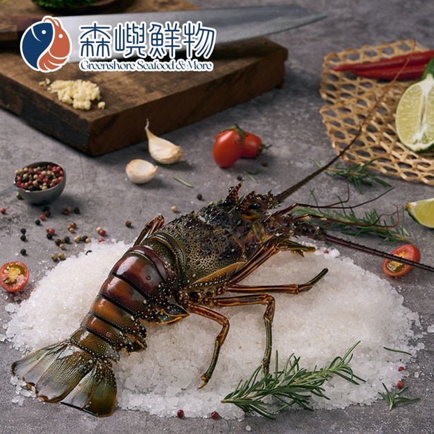 活凍青殼龍蝦