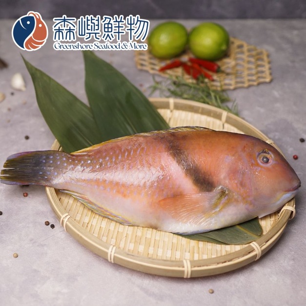 澎湖野生寒鯛/紅石佬