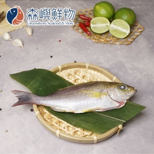 澎湖黃雞魚 (多種規格可選)