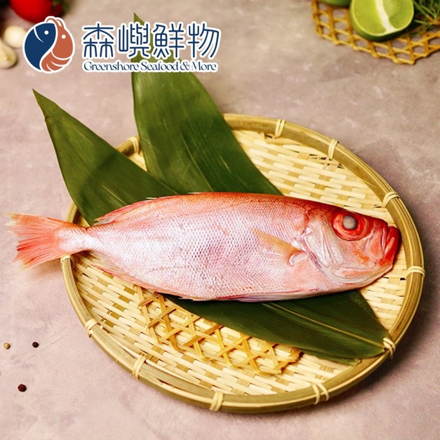 台灣紅目鰱 (多種規格可選)
