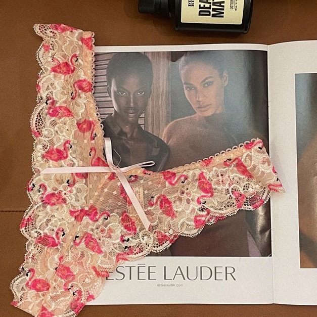 粉波點火鶴(預購)