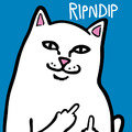 RIPNDIP 23FA-RND10334 中指貓 扇子 美鈔 消暑 惡搞 紙扇 折扇_4