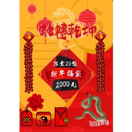 2025 蛇年福袋 新年福袋 財富自由禮包 一次滿足 NEVERMIND.INC 