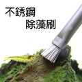不銹鋼除藻刷_7