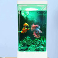 帶燈鬥魚缸_6