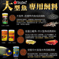 Tropical 大型魚底棲魚肉食成長飼料_3