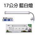 ISTA 高之光 LED夾燈(17公分/25公分)【白/藍白/增豔燈】_6