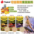 tropical守宮專用果泥飼料_1