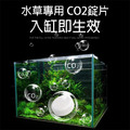 ISTA 伊士達 水草CO2錠 散裝_6
