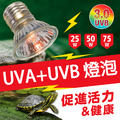 爬蟲先生 UVB3.0 全光譜燈泡 E27燈頭用 25W/50W/75W_3