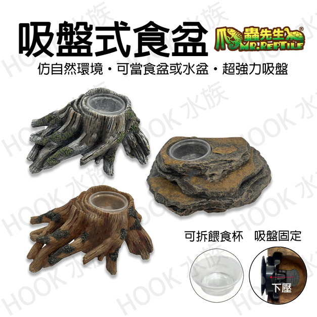 爬蟲先生 吸盤式食盆 岩石 樹根