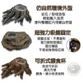 爬蟲先生 吸盤式食盆 岩石 樹根_3