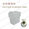 水培植物杯