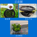鬥魚休息台_1