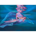 魚在水中 blue blue，魯雅琴_54x78cm，2022