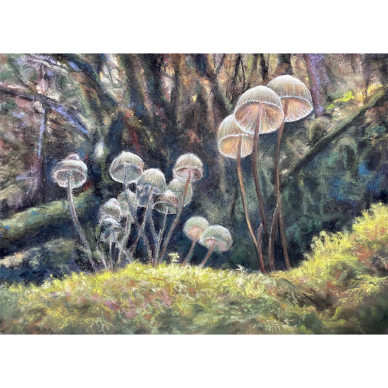 森林裡的小魔傘，魯雅琴  _39x54cm，2023