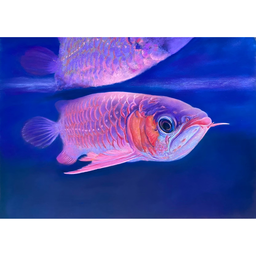 華麗轉身Gorgeous turn，魯雅琴  _39.5x54.5cm，2021