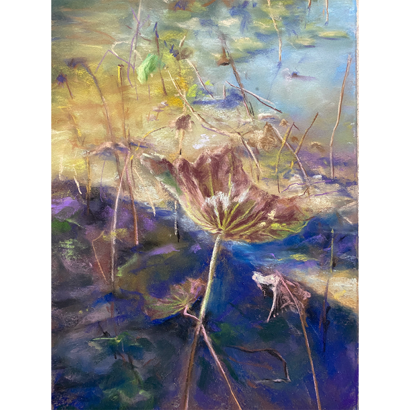 殘荷，魯雅琴  _39.5x27cm，2023