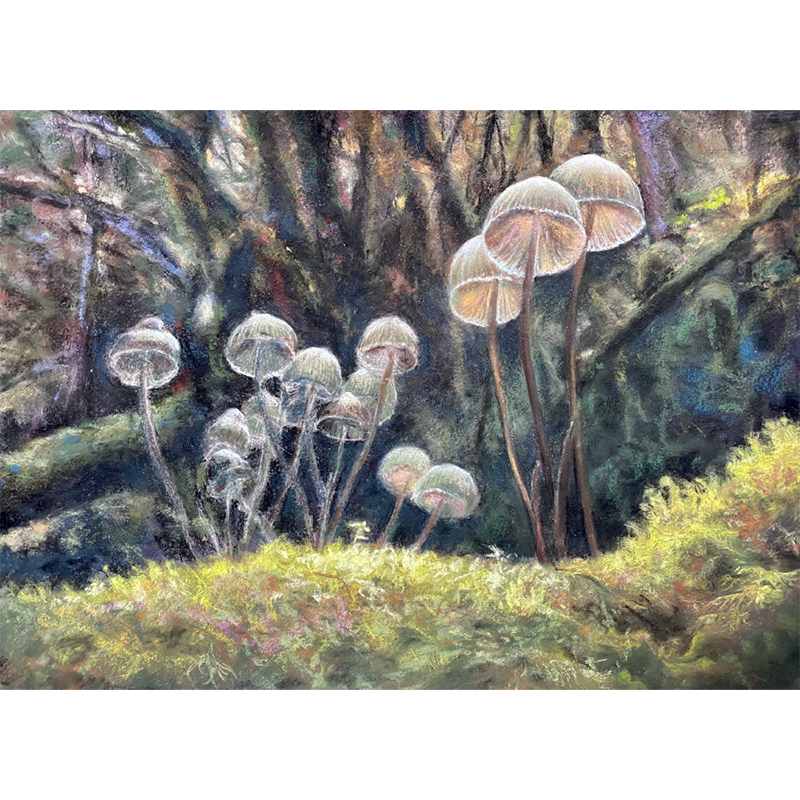 森林裡的小魔傘，魯雅琴  _39x54cm，2023