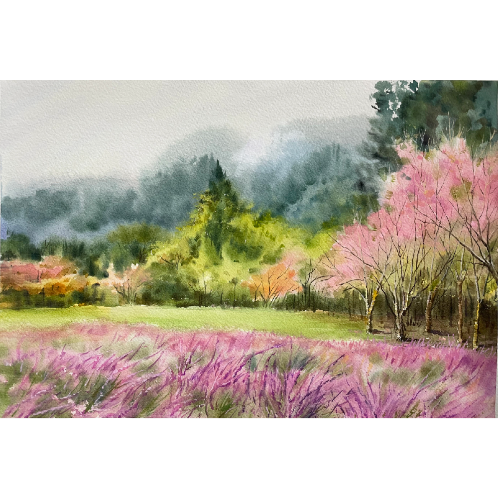 武陵櫻天，洪慧娟 _37x28cm，2023