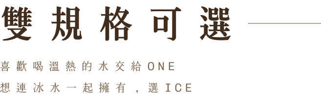 雙規格可選