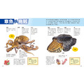 獲獎好書【一樣不一樣：蔬菜、水生動物、陸生動物】全套3冊_4